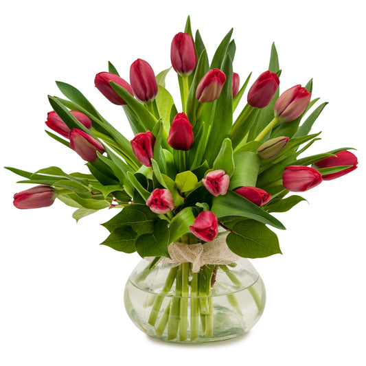 Just Red Tulips –  Your Beautiful Flowers, Scranton PA
