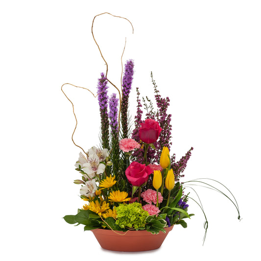 Pixie Party –  Your Beautiful Flowers, Scranton PA