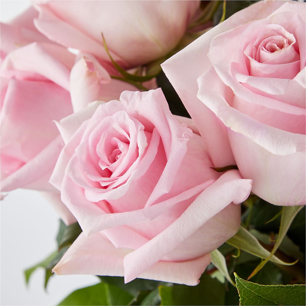 Picture Perfect Pink Rose Bouquet –  Your Beautiful Flowers, Scranton PA