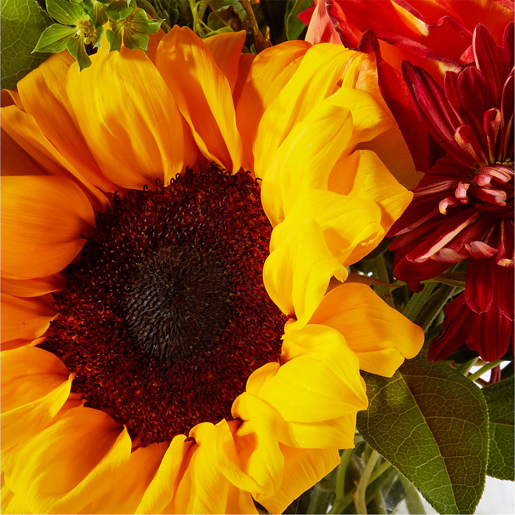 Harvest Festival Bouquet –  Your Beautiful Flowers, Scranton PA