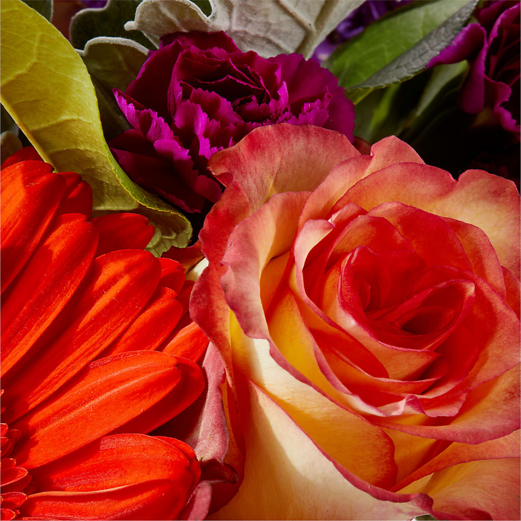 Sangria Bouquet –  Your Beautiful Flowers, Scranton PA