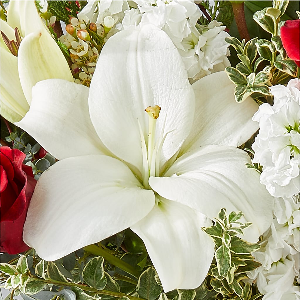 Twinkle Lights Bouquet –  Your Beautiful Flowers, Scranton PA