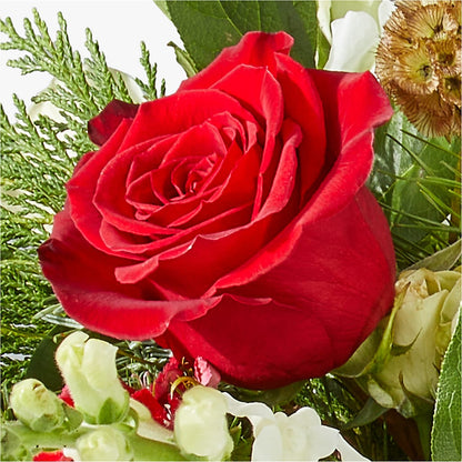 Deck the Halls Bouquet –  Your Beautiful Flowers, Scranton PA