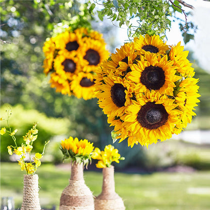 Sublime Garden Hanging Arrangement –  Your Beautiful Flowers, Scranton PA