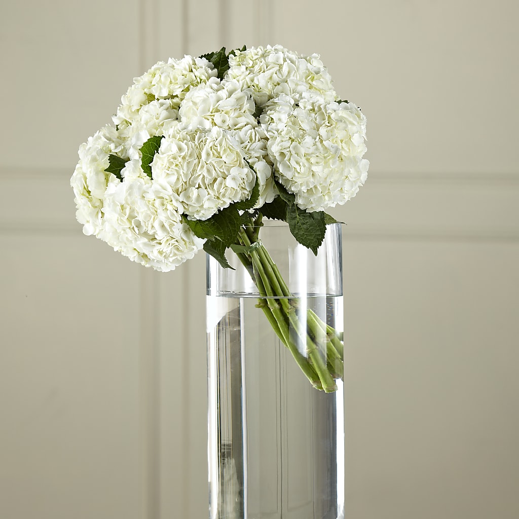 White Hydrangea Hand-Tied Bouquet –  Your Beautiful Flowers, Scranton PA