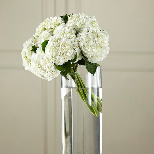 White Hydrangea Hand-Tied Bouquet –  Your Beautiful Flowers, Scranton PA