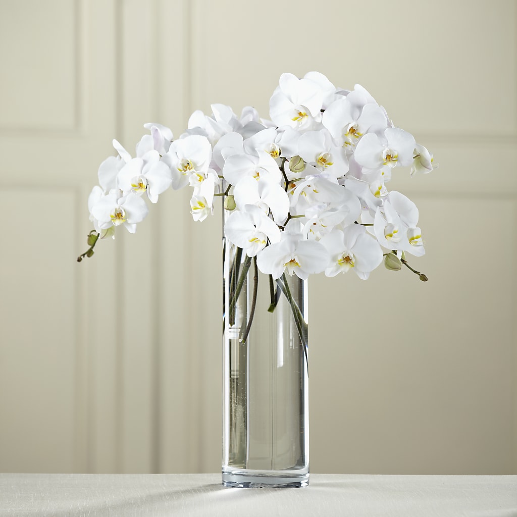 White Phalaenopsis Bouquet –  Your Beautiful Flowers, Scranton PA