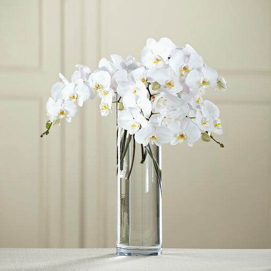 White Phalaenopsis Bouquet –  Your Beautiful Flowers, Scranton PA