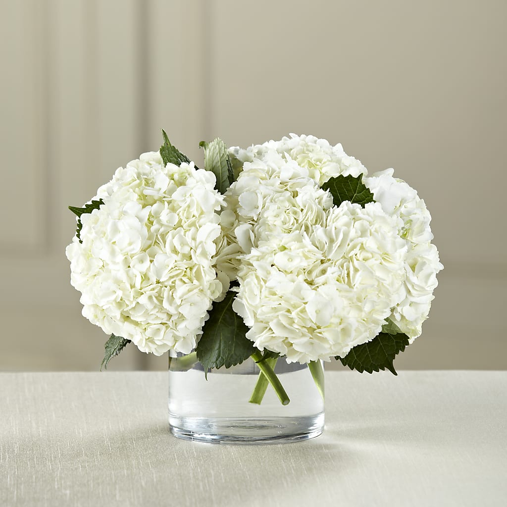 White Hydrangea Bouquet –  Your Beautiful Flowers, Scranton PA
