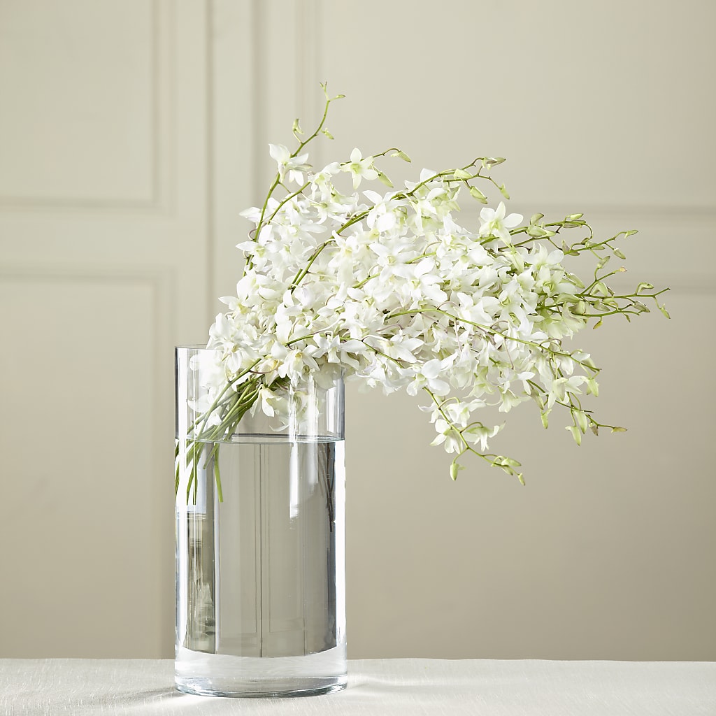 White Dendrobium Bouquet –  Your Beautiful Flowers, Scranton PA
