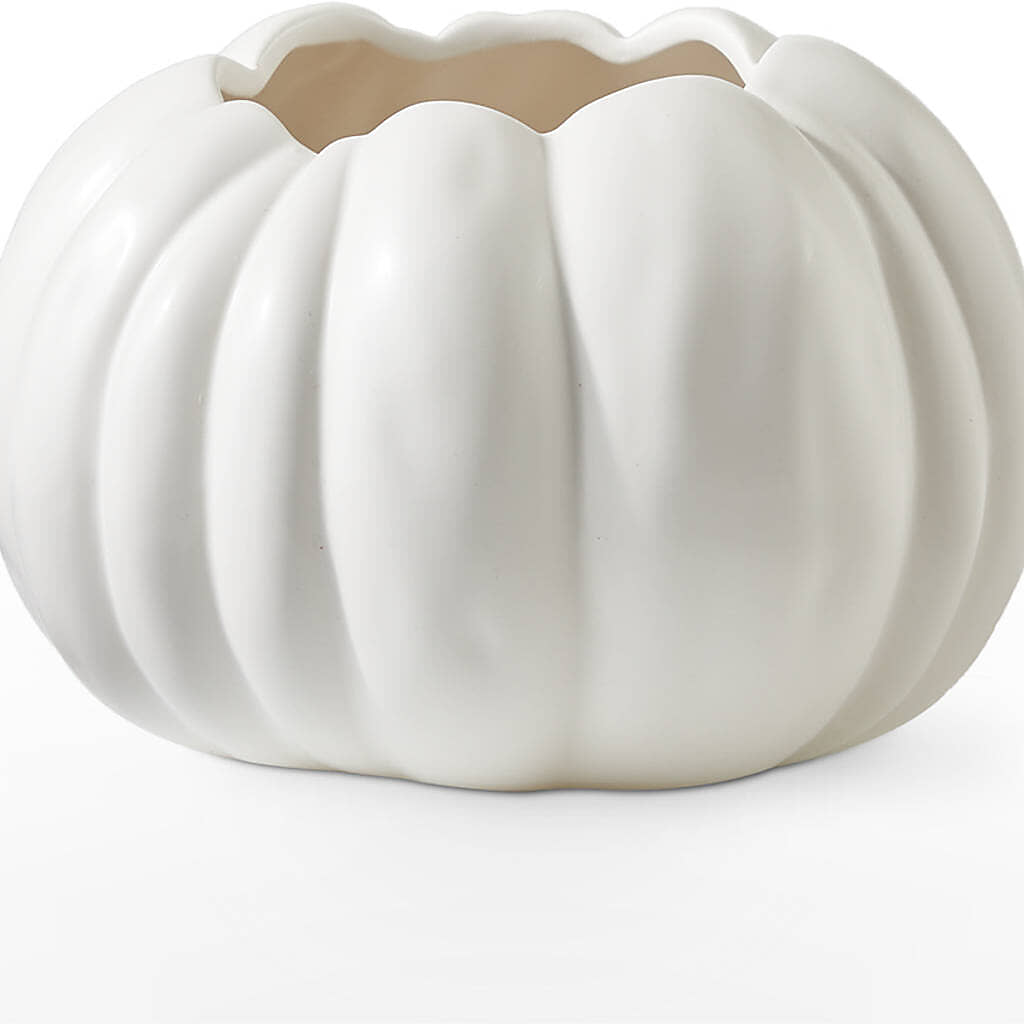 Pumpkin to Talk About Bouquet –  Your Beautiful Flowers, Scranton PA